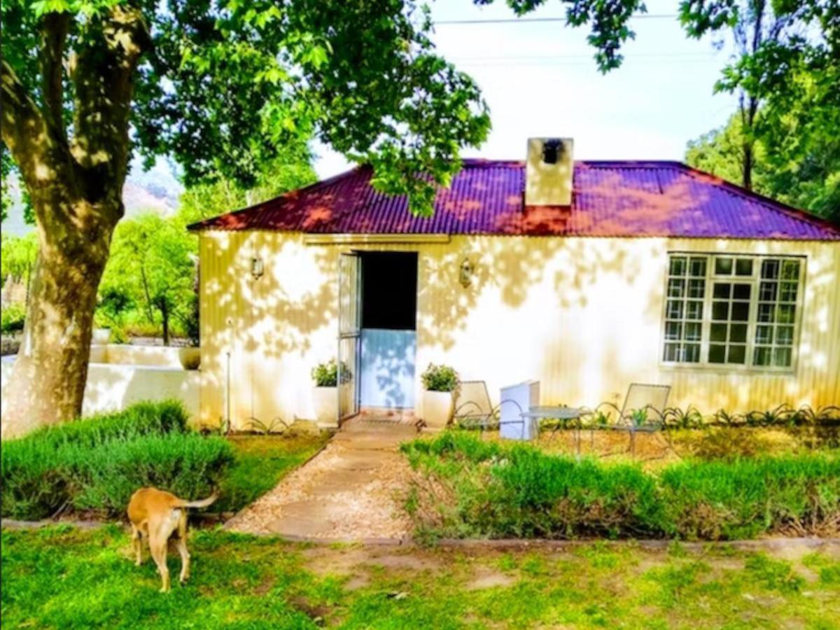 Cabernet Cottage Be Still And Know Franschhoek Extérieur photo