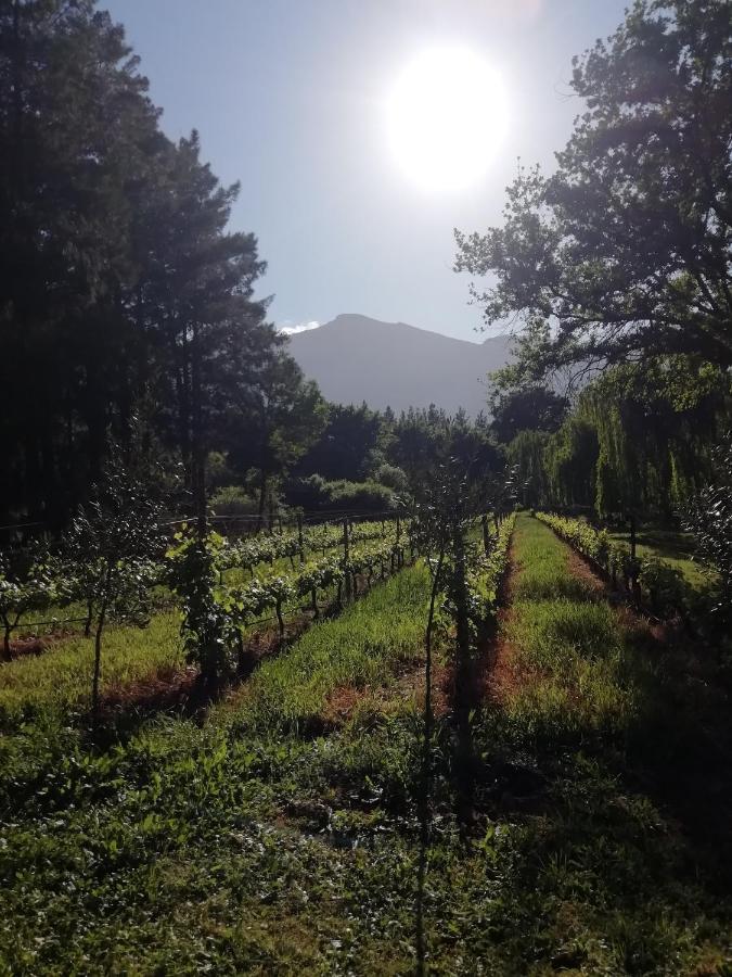 Cabernet Cottage Be Still And Know Franschhoek Extérieur photo