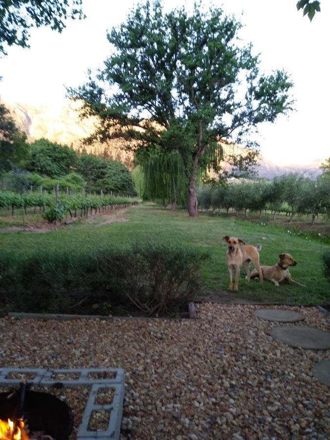 Cabernet Cottage Be Still And Know Franschhoek Extérieur photo