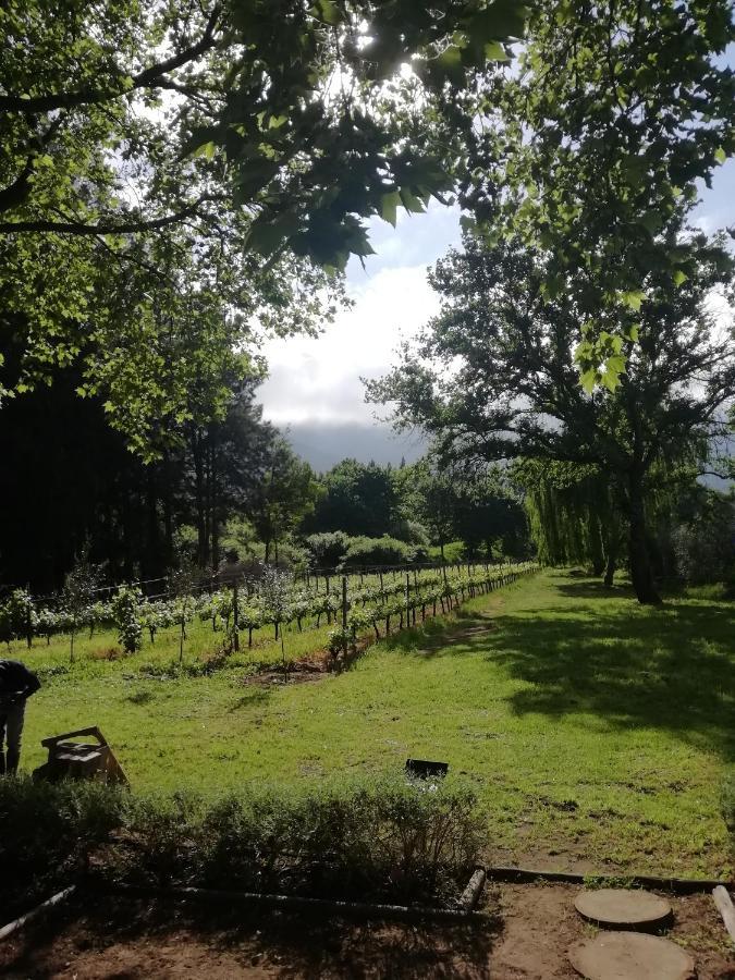 Cabernet Cottage Be Still And Know Franschhoek Extérieur photo