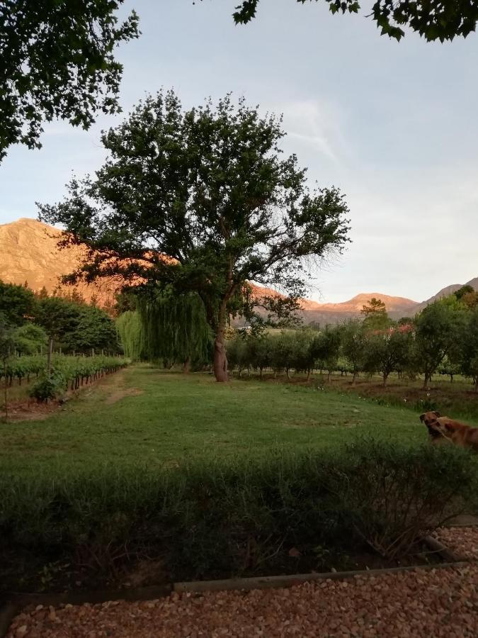 Cabernet Cottage Be Still And Know Franschhoek Extérieur photo
