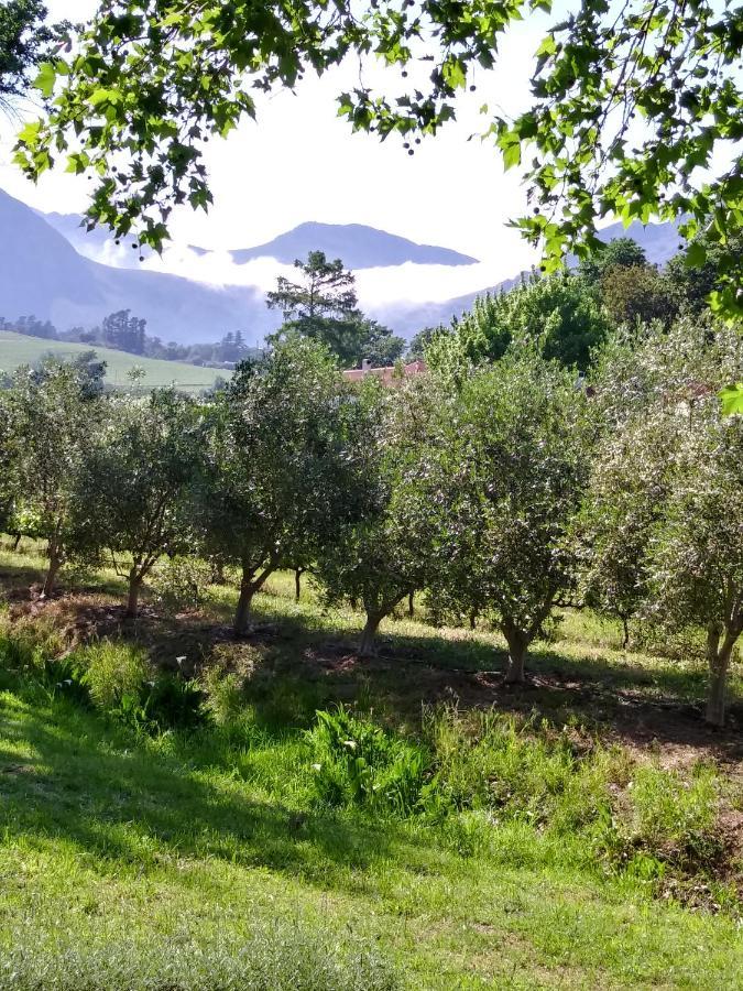 Cabernet Cottage Be Still And Know Franschhoek Extérieur photo